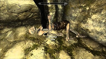 Skyrim Draugr Bug