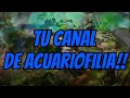 #3 Filtros de acuario! Tipologia de filtros_Serie para Rookies