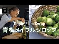 Vol.13 – Homemade Ume Plum Syrup with Maple Syrup