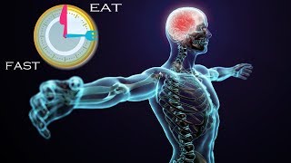 WHAT INTERMITTENT FASTING DOES TO YOUR BRAIN \& BODY - Dr Alan Mandell, DC