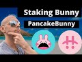 Pancakebunny Staking - Earn Passive Income With PancakeBunny