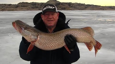 Fort Pek 2019, Jigging JawJacker Video