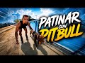 Probando la Insta360 patinando con mis perros! 🐶✅