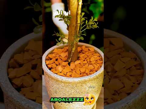 اختراعات بسيطه ممكن عملها في المنزل ج١٥٩ فبركة رسائل وضمير مش قادر يسكت 