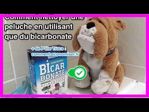 Comment nettoyer ses peluches ? 