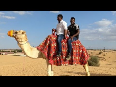 à®¤à¯�à®ªà®¾à®¯à¯� à®’à®Ÿà¯�à®Ÿà®• à®šà®µà®¾à®°à®¿ ||Dubai camel safari|| Dubai Desert safari||2023-10||#village360channel
