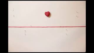 Heart Beat