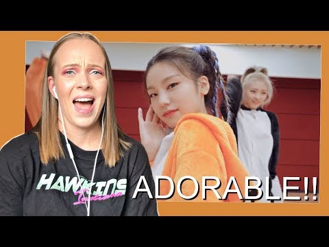 ITZY "ICY" Dance Practice (Thank you MIDZY Ver.) [REACTION]