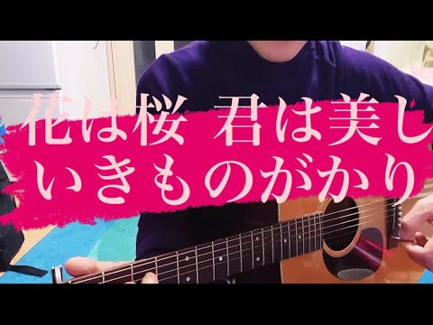 花は桜 君は美し / いきものがかり 弾き語り