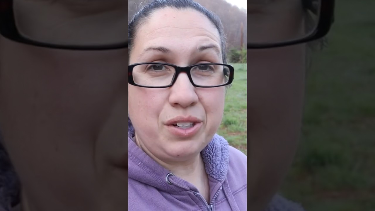 HOMESTEADING REALITY click to watch full video 