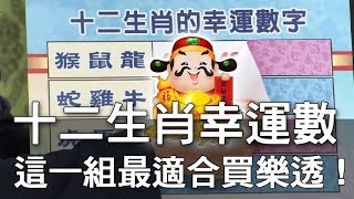 【精華版】十二生肖幸運數字這一組最適合買樂透！