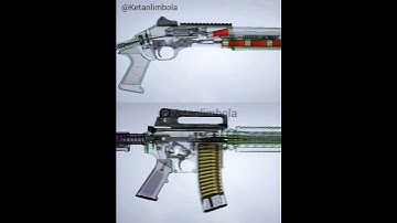 M4 x M4A1