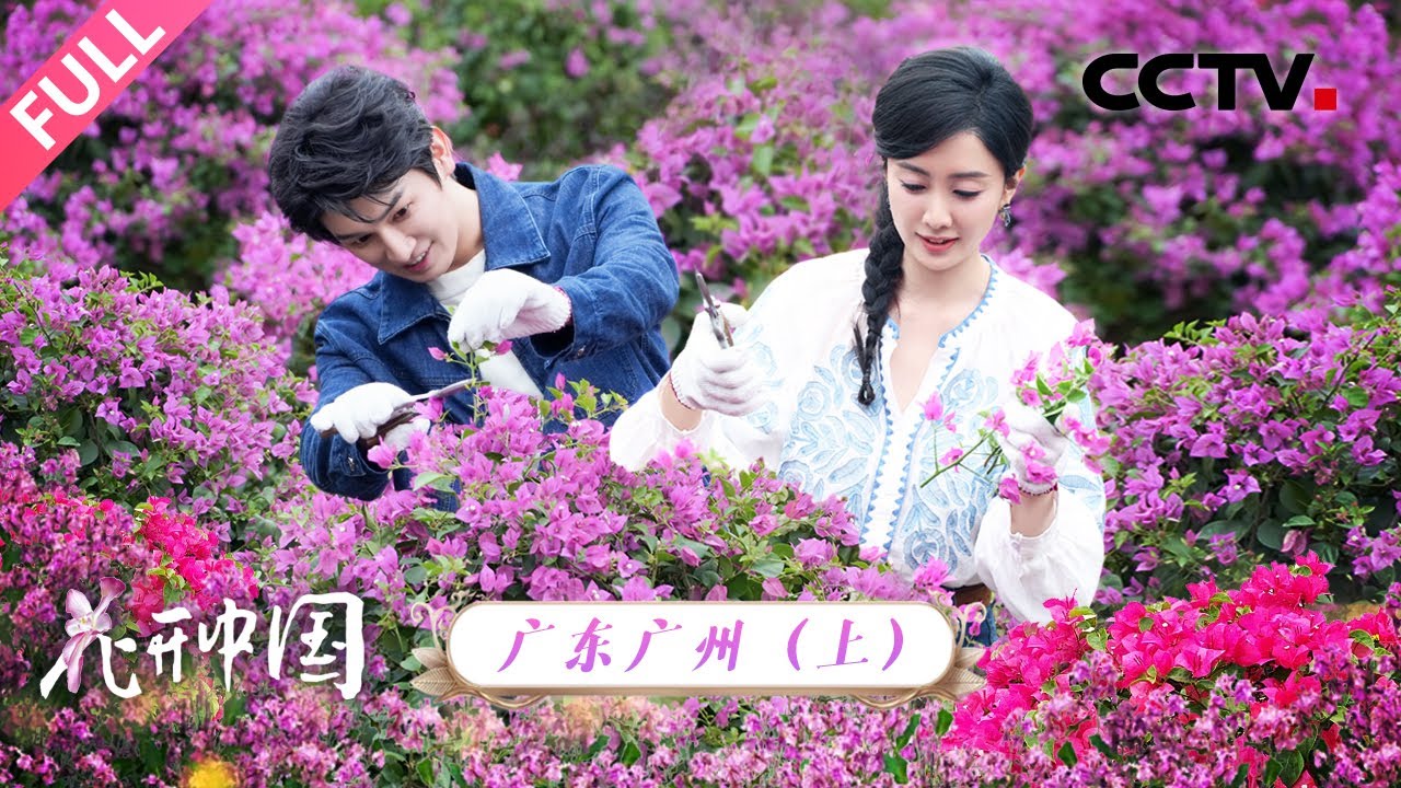 【Full】在广州行车仿佛在逛空中花展！广东绿豆沙为啥加“臭草”？杨旭文带你解锁“花城”浪漫 | CCTV「花开中国」20251220 第7期