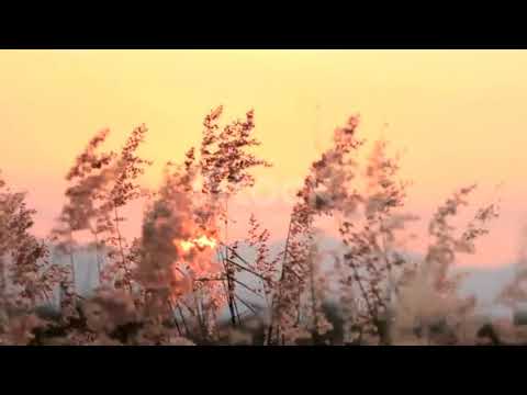 اللى سبنا الله يعينه أحنا مبنخسرش حد