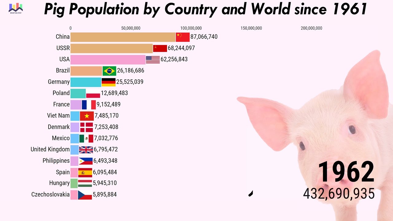 🐽 Pig Population by Country and World since 1961 YouTube