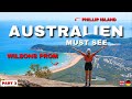 Vanlife Australien 🇦🇺 Phillip Island bis Eden 🚐 Pinguine, Traumstrände &amp; wildes Abenteuer! 🏕️ Mp3 Song