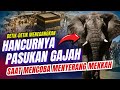 DETIK - DETIK HANCURNYA PASUKAN GAJAH ABRAHAH OLEH BURUNG ABABIL