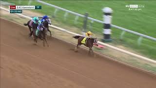 Remember the name! JULIA SHINING is remarkable on debut at Keeneland!