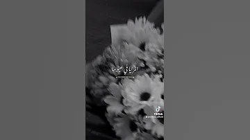الشاعر عمرو حسن حالات واتس اب 