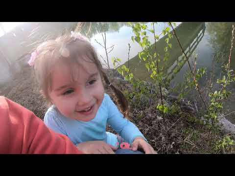 прогулка с семьей во время карантина , по пути попался белый лебедь и рыбаки поймали форель