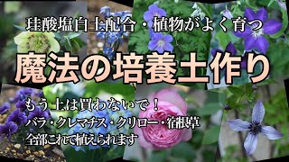 【培養土作り】魔法の土を配合・何でも植えられる土作り