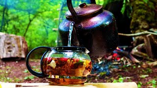 Natural Herbal Tea In Wild Forest Bushcraft Camp.