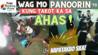 Ahas Sumali sa Inuman | 15 Scary Snake Encounter Moments