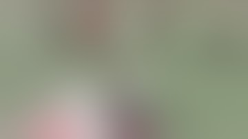 "FASTES WAY" to get MyPark badges 2k17