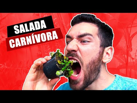 O Que Acontece se Você Comer uma Planta Carnívora ??