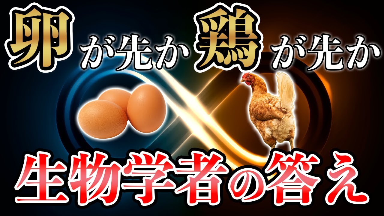 「卵が先か鶏が先か」よく聞く疑問に生物学者がマジレス YouTube 「卵が先か鶏が先か」よく聞く疑問に生物学者がマジレス YouTube