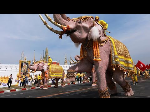 Βίντεο: Ελέφαντες στην Ταϊλάνδη: ενδιαφέροντα γεγονότα