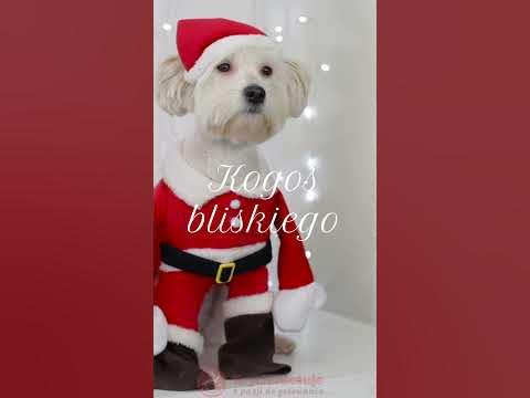Życzenia świąteczne na telefon. - YouTube