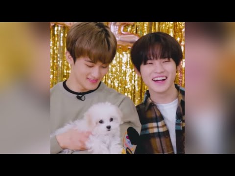 [NCT] 보기만해도 힐링되는 대갈남매 🐶🐯