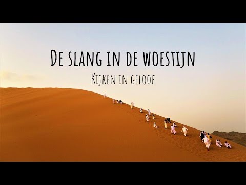 Video: Slangenherberg In De Woestijn