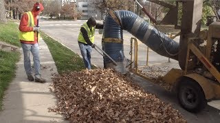 2019 Leaf Vacuum Program