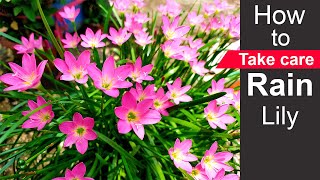 Cunnilingus qaltirash nuqtasiga qadar Issiqlikda ayolning fotosurati