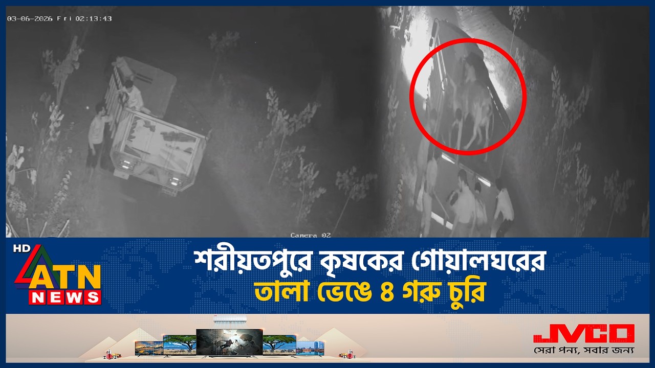 শরীয়তপুরে কৃষকের গোয়ালঘরের তালা ভেঙে ৪ গরু চুরি | ATN News