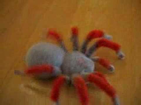 RC Tarantula