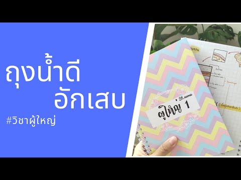 โรคถุงน้ำดีอักเสบ (สรุปเตรียมสอบสภา) พยาธิสภาพ,ข้อวินิจฉัย,ตัวอย่างแนวข้อสอบ