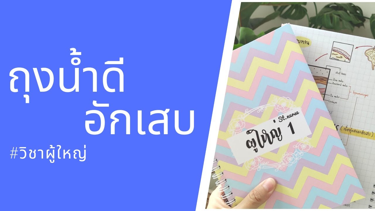 โรคถุงน้ำดีอักเสบ (สรุปเตรียมสอบสภา) พยาธิสภาพ,ข้อวินิจฉัย,ตัวอย่างแนวข้อสอบ