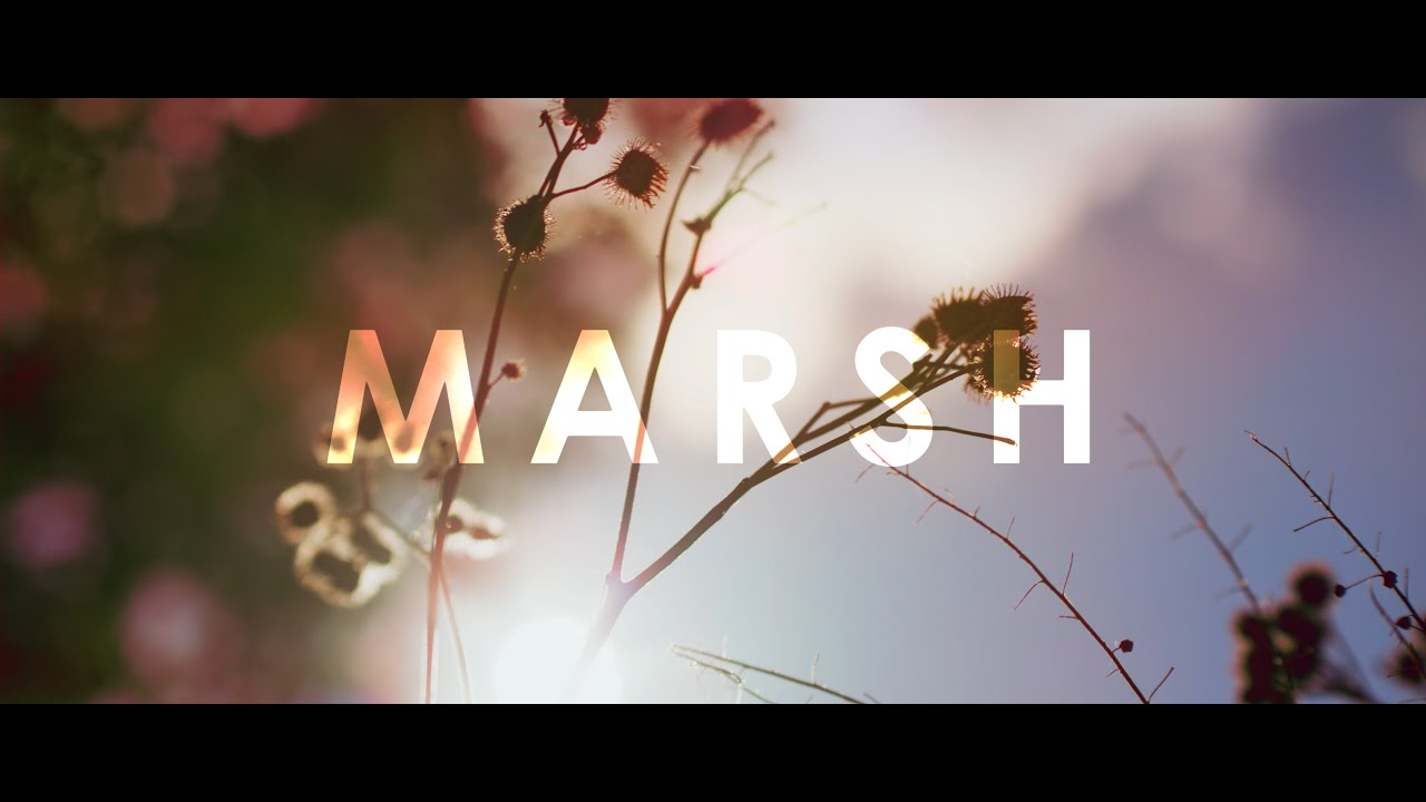 Show Me a Dinosaur - Marsh (OFFICIAL VIDEO)