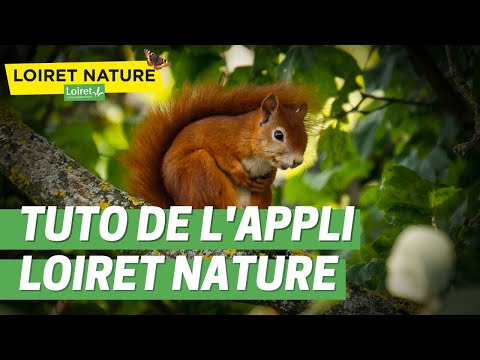 Comment utiliser l'application Loiret Nature ?