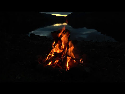 Beautiful Campfire At The Lake With Crackling Fire, Crickets And Owls Sounds