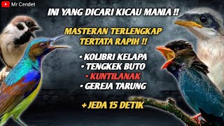 Download Lagu MASTERAN TERLENGKAP TEMBAKAN KOLIBRI KELAPA, TENGKEK BUTO, KUNTILANAK, DAN GEREJA TARUNG !! MP3