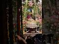Sawan Ki sabko badhai #trending #vrindavandham #shorts