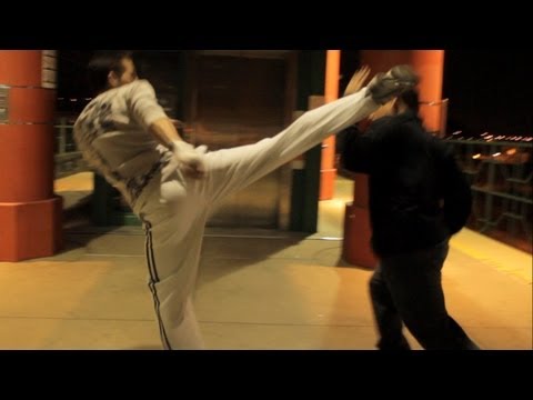 Sport Kickboxing vs Kung Fu Fight Scene (Tekken Style)