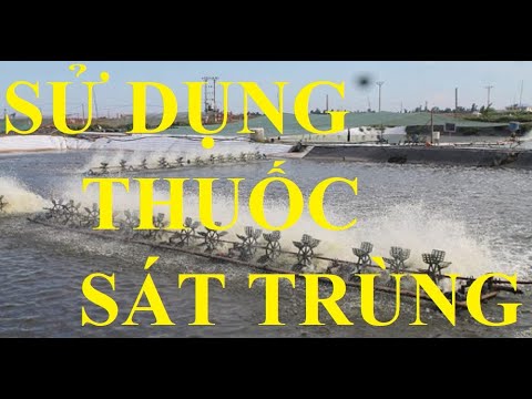 Video: Bảng Sát Trùng: Gỗ Xẻ Tẩm Chất Khử Trùng, Ván Có Cạnh Và Chưa được Xử Lý, GOST