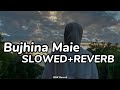 Bujhina Maile - Boksi Ko Ghar New Nepali Song [Slowed+Reverb] || BNK Reverb