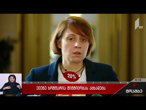 ელენე ხოშტარია შიმშილობას აცხადებს