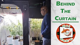 Behind the Curtain | Season 5 Ep 6